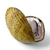 Sterling Silver Enamel Shell Locket Pendant for Necklace Beach Vacation Jewelry