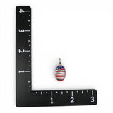 Sterling Silver & Enamel Let Us Not Forget Charm USA Patriotic Flag Brown County