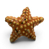 Sterling Siliver Enamel Starfish Post Earrings Beach Vacation Jewerly New Old