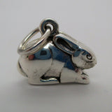 Bunny Charm - All Silver