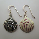 Scallop Shell Earrings