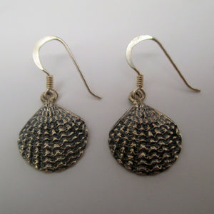 Scallop Shell Earrings