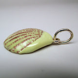 Scallop Shell Charm