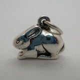 Bunny Charm - All Silver