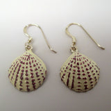 Scallop Shell Earrings