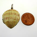 Shell Locket Pendant