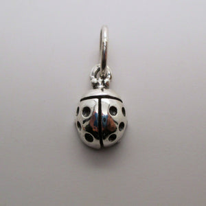 Ladybug Charm